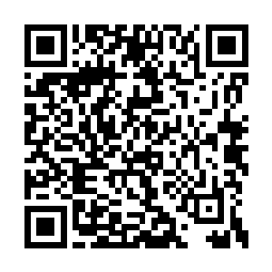 把打扫家里卫生留下的一袋垃圾丢到了混沌之池二维码生成