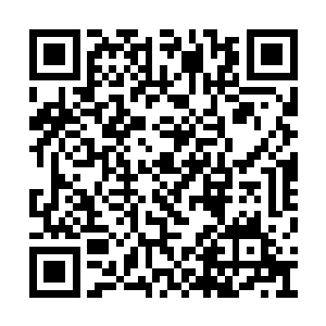 把整个螺子岭以北地区彻底划入主城市区范围内二维码生成