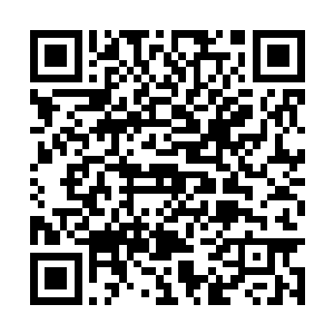 把整个黑沉沉的宇域彻底变成了如置身仙境的区域二维码生成