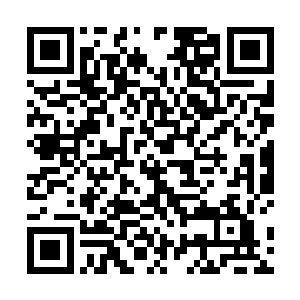 把新生们建立在家庭背景之下养成的三观通通蹂躏一翻二维码生成