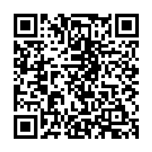 把枪还有消音器和弹匣什么的都装进了一个小小的手提包里之后二维码生成