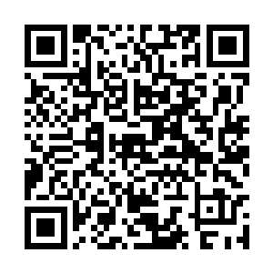 把桌上的骨器骨宝骨币袋储物骨器等全部装入腰包二维码生成