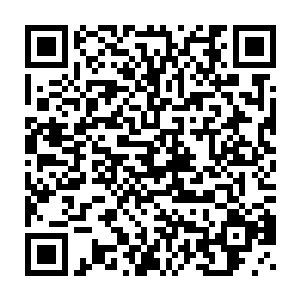 把正在书房内品茗叙话的两个人的身影拉长映射在书房雪白的墙壁上二维码生成