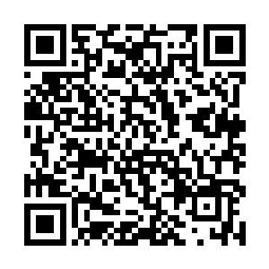 把江逸找回来众人群策群力看看能否有办法击杀冥帝二维码生成