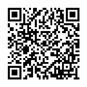 把江雪那发育得较好的身段给完好地凸现了出来二维码生成