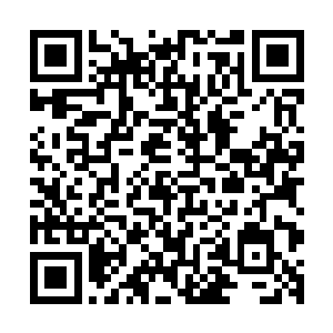 把源德酒楼要的十坛子酸豆角和济生堂药铺的一坛子都装了车二维码生成