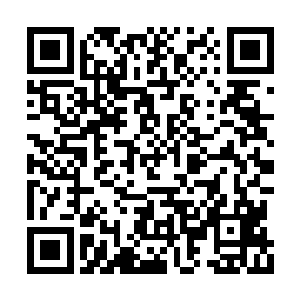 把瘦弱得如同一片落叶般的费芷柔紧紧抱在怀里二维码生成