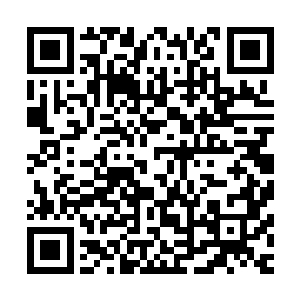 把紫红山庄排放生活污水的出口管道接到了山脚挖的小水库中二维码生成
