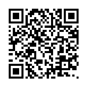 把老板这次来欧洲可能面对的工作商讨一下二维码生成