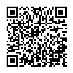 把自己修炼的功法的名字加在真人或者真君的名号之前二维码生成