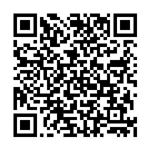 把自己旗下的那些小演员上过的戏往一块儿一剪二维码生成