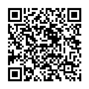 把自己此刻声音和我之前在骨器店内声音明显区分开来二维码生成