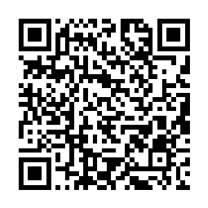 把自己的船包给一些假期周未出海玩的城市菜鸟钓鱼二维码生成
