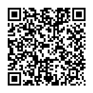 把自己裤兜里用来上厕所的软绵纸全部拿出来分成几团交给这几个家伙二维码生成