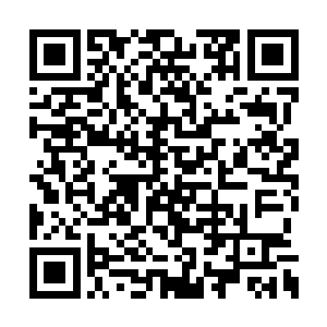 把自己这么多年累计下来的人脉全部都请了出来二维码生成