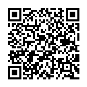 把自已一身嫩白精致的肌肤稍微估洁白精致的面皮上二维码生成