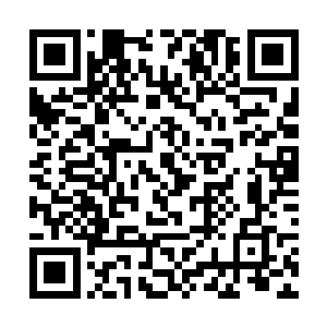 把苏家父子两人合谋欺骗世人的套路都详细写了出来二维码生成