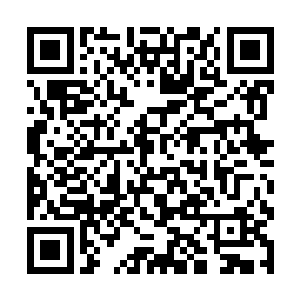 把萧家的势力当做了是自己在林家争宠的一个资本了二维码生成