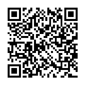 把被蒙到头顶……想着种想不透并且无力还击的事二维码生成