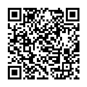 把装在盒子里的一根铂金项链戴在叶思媛的脖子上二维码生成