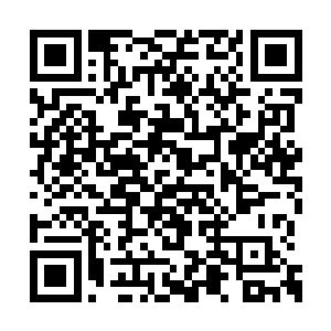 把身后的那个家伙砸得往后飞了出去贴在墙壁上二维码生成