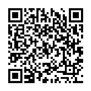 把这个不怎么样的照片装进自己钱包里的人也是他二维码生成