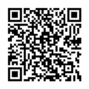 把这个中年男人那张儒雅的脸庞衬托得凄怆不已二维码生成