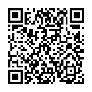 把这些家族的子嗣机密之事收拢有朝一日翻出来二维码生成