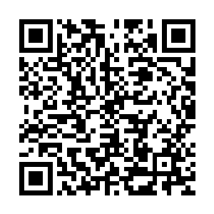 把这些已经提前定好了会来参加试镜的美国演员的资料再过一遍二维码生成