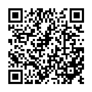 把这些跟李毅有关的废弃材料全给收集保存了起来二维码生成