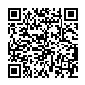 把这具跟以前相比几乎轻了一半的身躯紧紧抱到怀里二维码生成