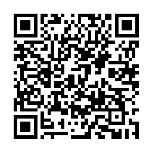 把这座被圣后娘娘厌憎的国教学院变成恐怖的火海二维码生成