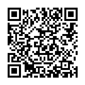 把这里当成了十年后这个陌生的世界里最为安全的庇护所二维码生成