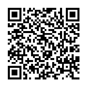 把那个青灯和那个破葫芦收进了自己的空间戒指之中二维码生成