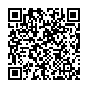 把那些从溶洞之中钻出来的魔蛇岛的人一个个全都吸引了过来二维码生成