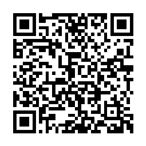 把那些岛国人和江海市内所有流沙的人全部剿灭二维码生成