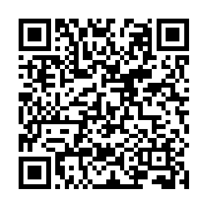 把那些染了血的红色棉球以及废弃的纱布丢进了垃圾桶二维码生成