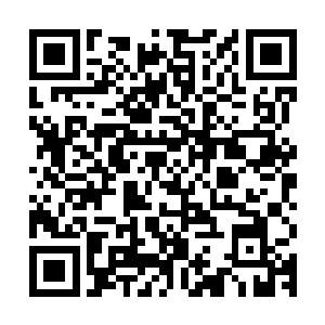 把那些穿梭疾飞的红鹰身影照的无比清楚都市无上仙医最新章节二维码生成