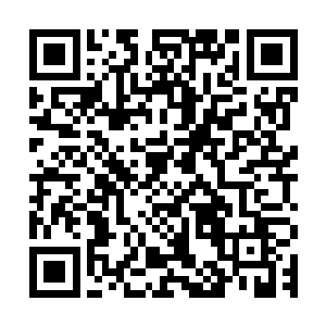 把那只因为很久没有吸到新鲜血液而有些干瘪的死蚊子掸到地上二维码生成