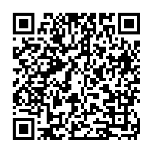 把那小山一般的各种颜色的毒蛇装到竹篓里的人脸色那才叫一个精彩呢二维码生成