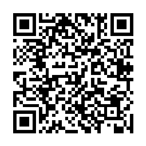 把那巨大淡金色手掌逼得始终无法抓摄住中央的天算子二维码生成