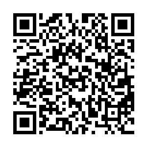 把那已经捏绞的半死的白虎战兽往白鹏的方向狠狠一砸二维码生成