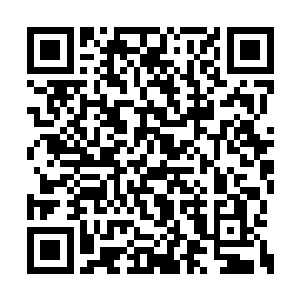 把那巴掌长的弧形利刃迅猛的扎在对方的脖子上二维码生成