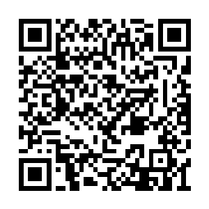 把那数十万的魔化傀儡组成的庞然大物一点点的二维码生成