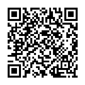 把附近一个在低空中飞行的十级翼魔吸引了过来二维码生成