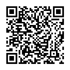 把颜晓夕约出来吃顿饭以加深印象自然就是这家伙的主意二维码生成
