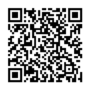 抑或是梁王府的死士与那些不懂修行与剑道的普通仆役婢女二维码生成