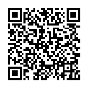 抓住了强逸飞弱点的温尔达此时已经胜券在握了二维码生成