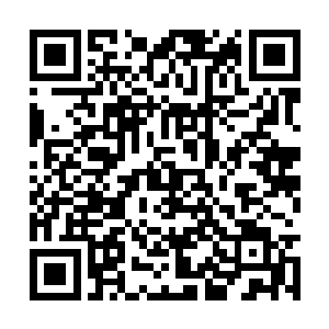 抓住了救命稻草一样把罪责往我和叶君两人身上推二维码生成