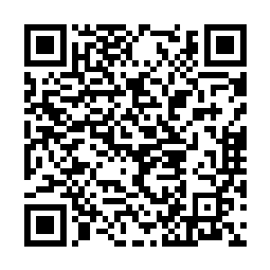 抓住巴克的手小心翼翼挑着沙滩上不陷脚的地方走二维码生成
